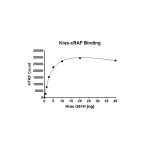 Kras Q61H–cRAF Binding Assay Kit